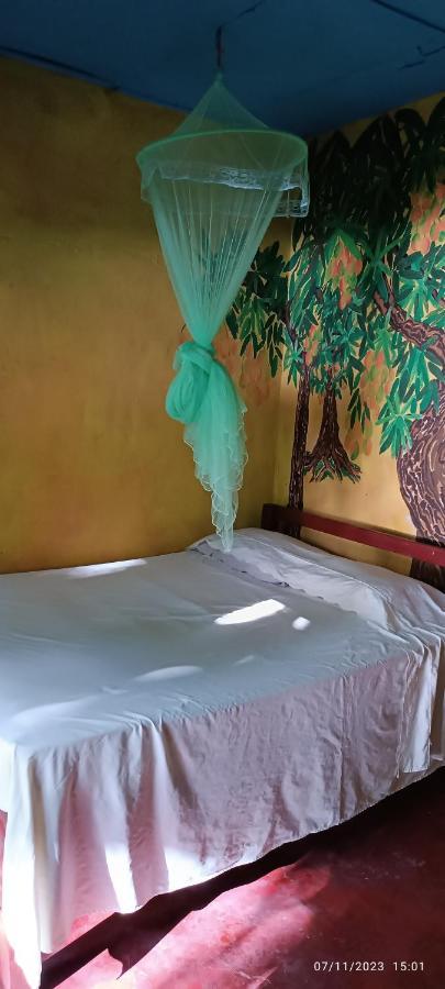 Hostel La Gloria Ometepe المظهر الخارجي الصورة