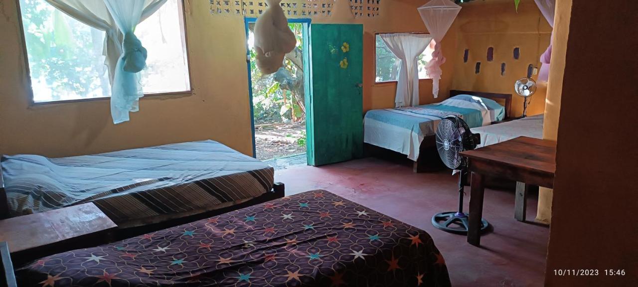 Hostel La Gloria Ometepe المظهر الخارجي الصورة