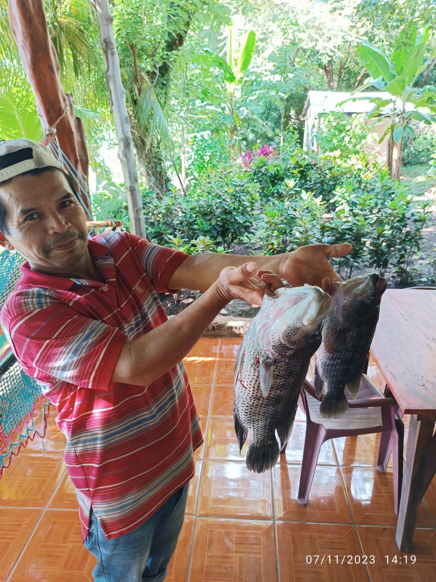 Hostel La Gloria Ometepe المظهر الخارجي الصورة