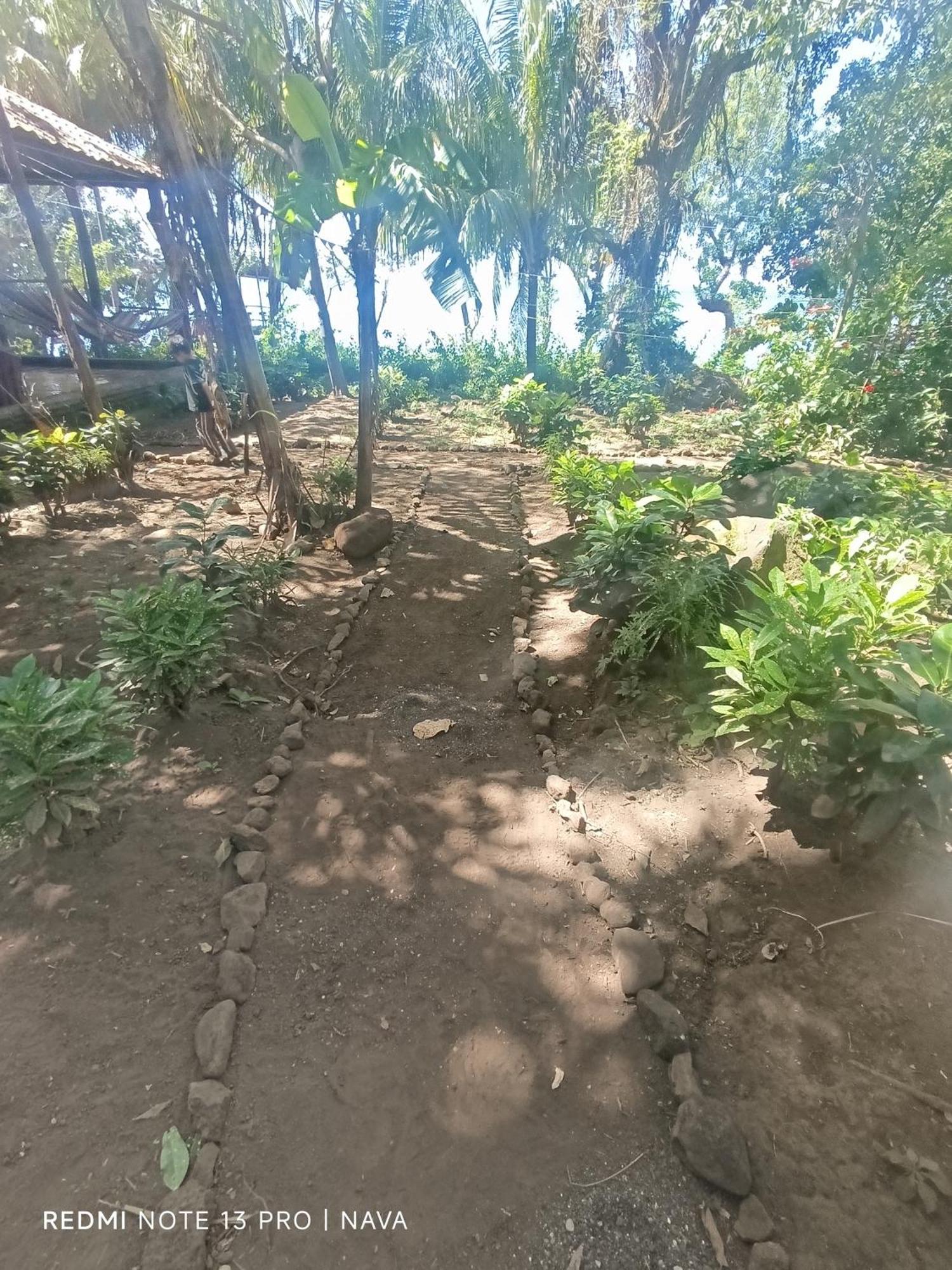Hostel La Gloria Ometepe المظهر الخارجي الصورة